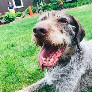 Meet your Posher, Emma